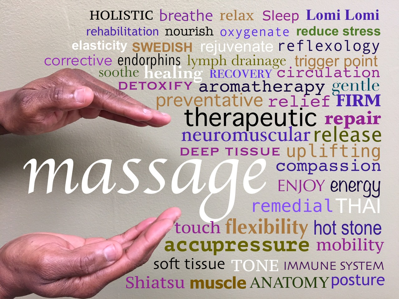 Book an Appointment Now